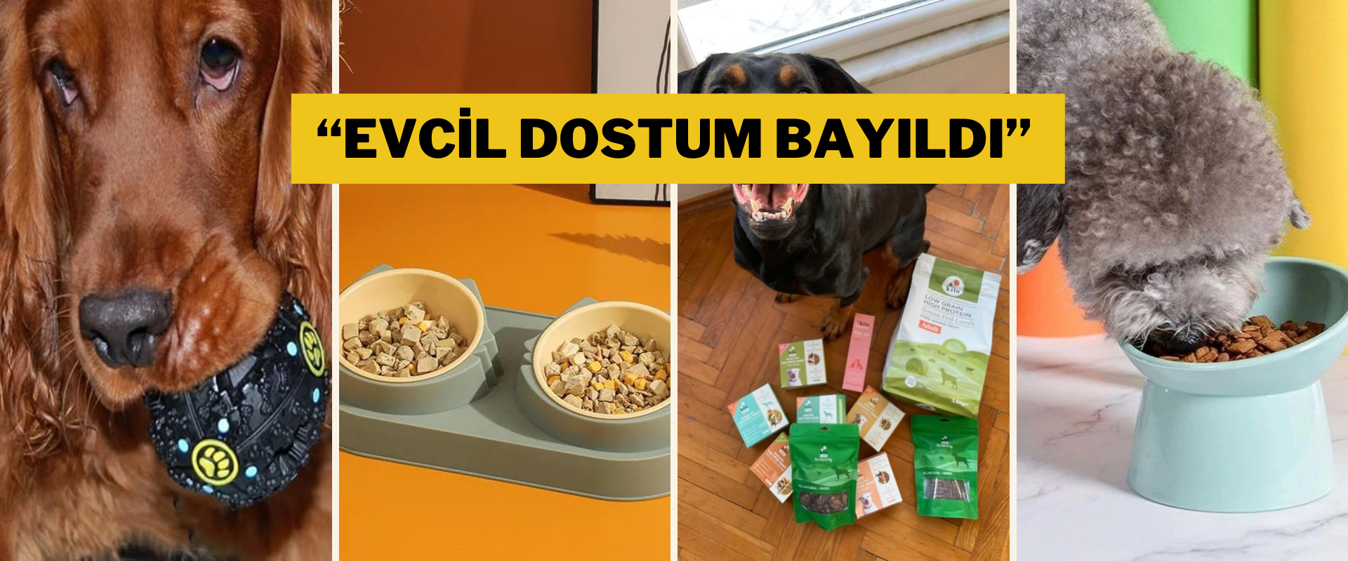 Sevimli dostlarınızın ihtiyacı olan her şey indirimde