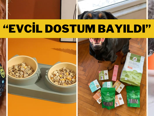 Evcil hayvan sahipleri bu fırsatı kaçırmayın