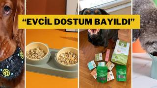 Sevimli dostlarınızın ihtiyacı olan her şey indirimde