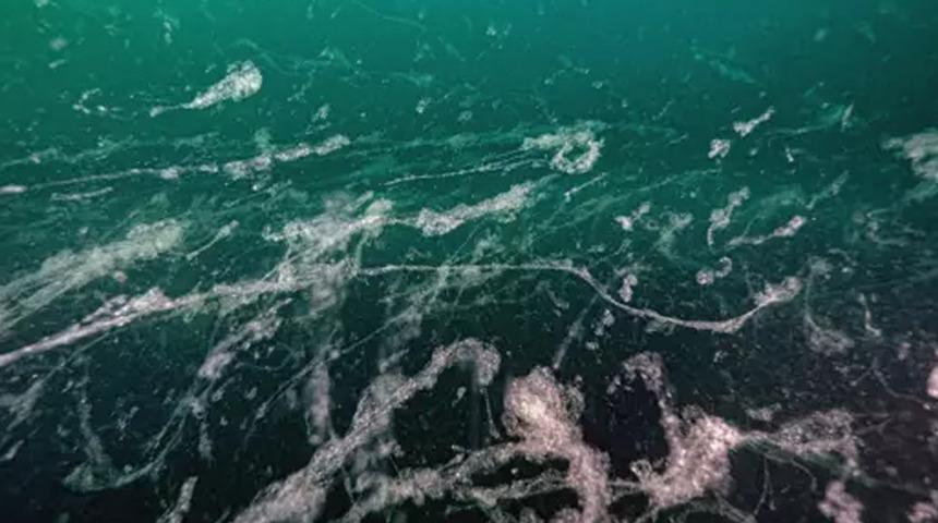 Marmara Denizi ile ilgili korkutan uyarı! "Geri döndü ve 24 metreye kadar yayıldı"