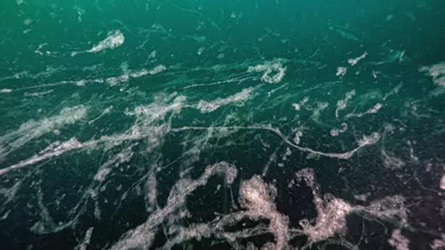 Marmara Denizi ile ilgili korkutan uyarı! Geri döndü ve 24 metreye kadar yayıldı