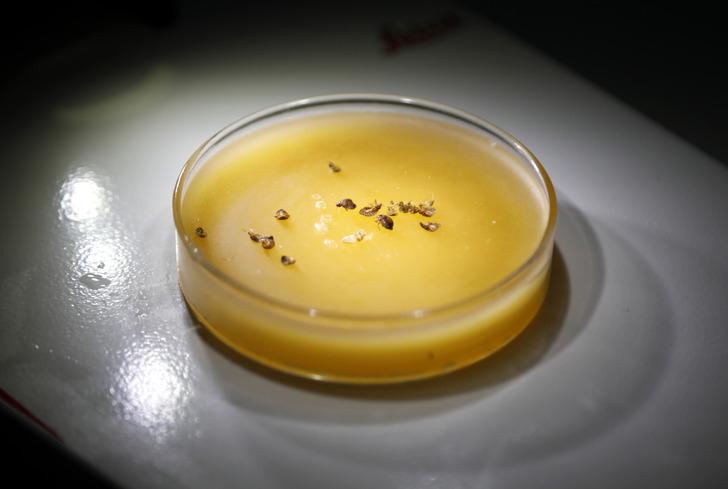 5 yıldızlı otellerde tahtakurusu alarmı: Yumurtaları valizle taşınıyor! 'Gece gelip, sizden kan emiyor' G1