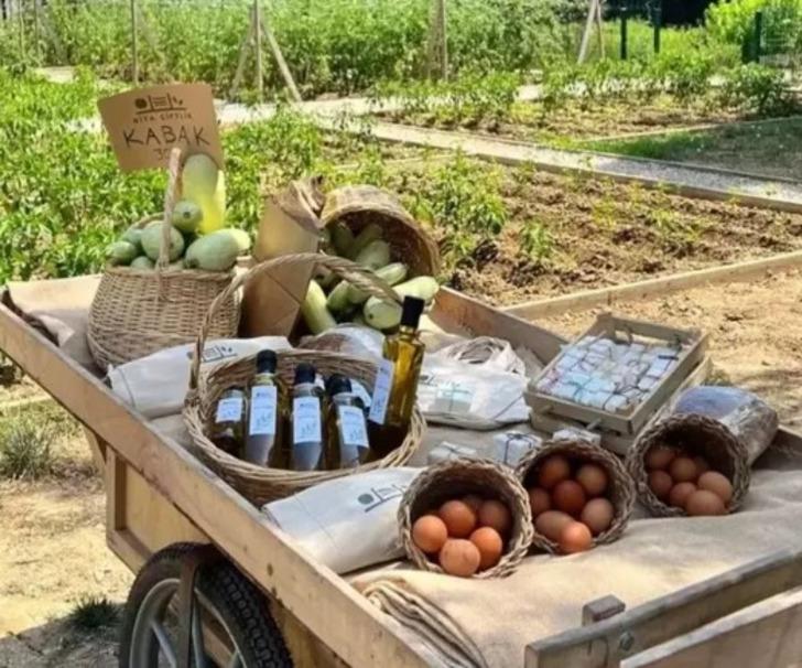 Ekranlara ara verdi! Tası tarağı toplayıp bakın nereye yerleşti... İlker Ayrık 17 dönümlük araziye çiftlik kurdu! Organik tarım bile yapıyor G4