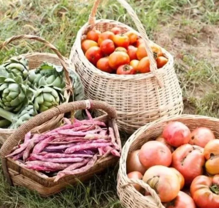 Ekranlara ara verdi! Tası tarağı toplayıp bakın nereye yerleşti... İlker Ayrık 17 dönümlük araziye çiftlik kurdu! Organik tarım bile yapıyor G5