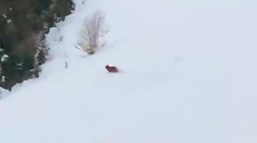 Rizeli vatandaşın ayıyla güldüren diyaloğu: Gezme buralarda...