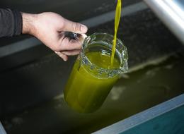 'Pahalı olmayı hak eder' Sürecini anlatıp vurguladı... 