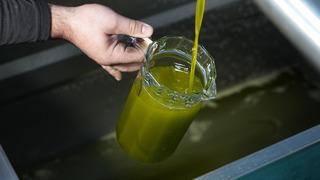 'Pahalı olmayı hak eder' Sürecini anlatıp vurguladı... 