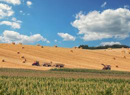'2 sene boş tutmak senin hakkın değil!' Resmi Gazete'de yayımlandı! Boş arazisi olanlar dikkat... 2025 yılında tespit edilecek ihaleye çıkacak!