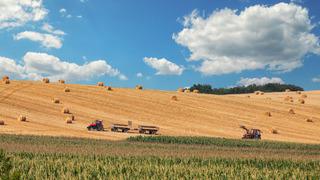 '2 sene boş tutmak senin hakkın değil!' Resmi Gazete'de yayımlandı! Boş arazisi olanlar dikkat... 2025 yılında tespit edilecek ihaleye çıkacak!