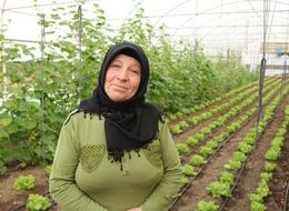 Devlet desteği ile sera kurdu... 12 ay boyunca ürün yetiştirip pazarda satıyor! Hem geçim kaynağı hem hobisi