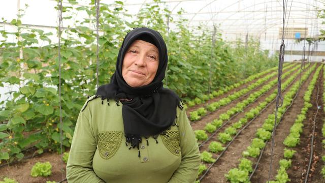 Devlet desteği ile sera kurdu... 12 ay boyunca ürün yetiştirip pazarda satıyor! Hem geçim kaynağı hem hobisi