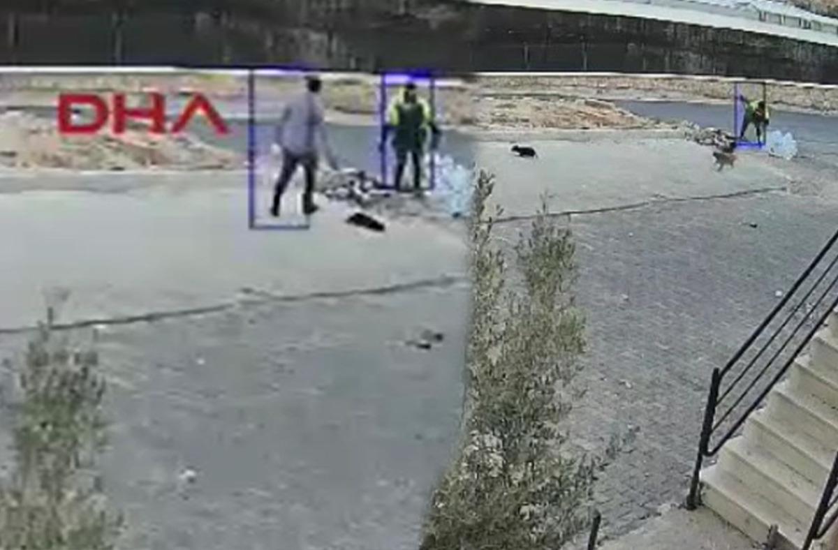 Şanlıurfa'da korkunç olay! Yavru köpeği parke taşıyla öldüren şüpheli  gözaltına alındı! - Mynet Yaşam