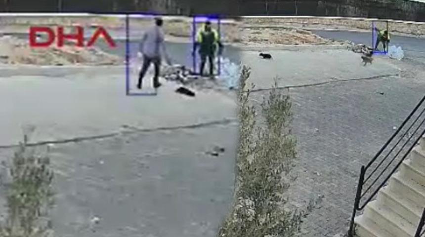 Şanlıurfa'da korkunç olay! Yavru köpeği parke taşıyla öldüren şüpheli gözaltına alındı!