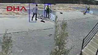 Şanlıurfa'da korkunç olay! Yavru köpeği parke taşıyla öldüren şüpheli gözaltına alındı!