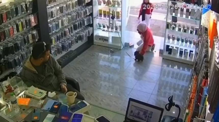 Köpeği severken öldürdüler! Akıllara durgunluk veren olay kamerada