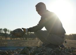 Kuraklık tarımı derinden vurdu... Kırıkkale'de çiftçinin yüzü şeker pancarından yana gülmedi! 'Kendi yevmiyemi çıkaramıyorum'' dedi... Verim yüzde 30 düştü