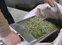 Sivas'ın vazgeçilmezi... Çorbadan yemeğe kadar her şeyin içinde var! Yaşı 100 lira kurusu 500 lira! En çok gurbetçiler tercih ediyor