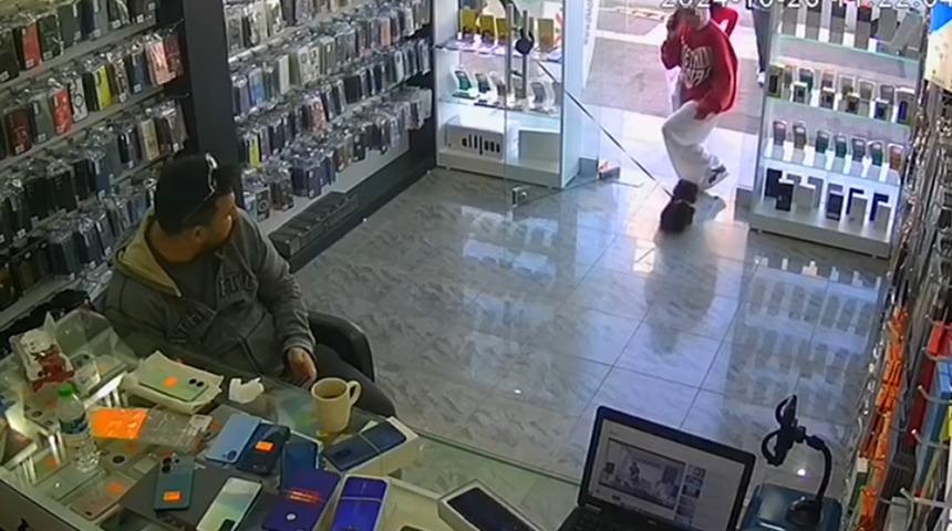 Mersin'de yavru köpeğin ölümüyle ilgili iki çocuk ifade verdi! Çocuklar serbest bırakıldı, köpeğe otopsi yapılacak