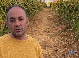 'Yoğun talep' Oraya gittiğinde gördü, boş arazisinde aynısını yaptı! Kilosu 200 TL'den 1 ton... 'Fazlasıyla verdi'