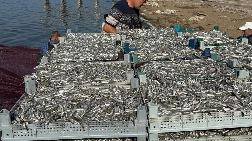 İznik Gölü’nde tarihi balık rekoru