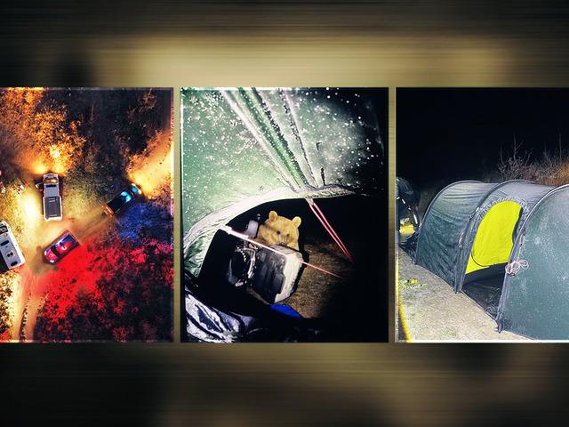 Az kalsın çadıra girecekti! Türkiye'de kamp yapan turiste ayı saldırısı: Yiyeceklerini kaptırdı, hayatının paniğini yaşadı