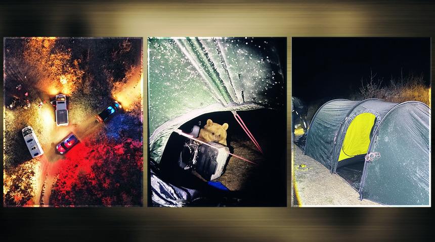 Az kalsın çadıra girecekti! Türkiye'de kamp yapan turiste ayı saldırısı: Yiyeceklerini kaptırdı, hayatının paniğini yaşadı