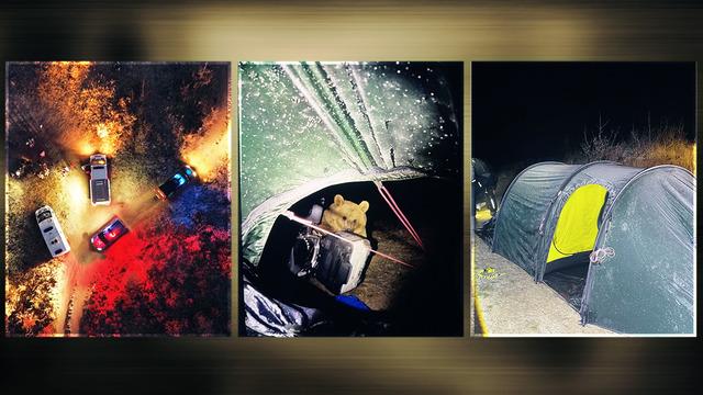 Az kalsın çadıra girecekti! Türkiye'de kamp yapan turiste ayı saldırısı: Yiyeceklerini kaptırdı, hayatının paniğini yaşadı