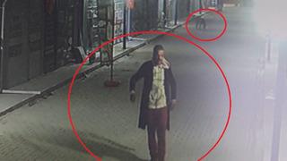 Hatay'da korkunç olay! Kapıyı açıp, kedileri köpeklere parçalattı