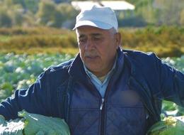 120 milyon TL gelir... İstanbul, Ankara, Bursa, İzmir'e satıyorlar! Bu yıl beklenti büyük