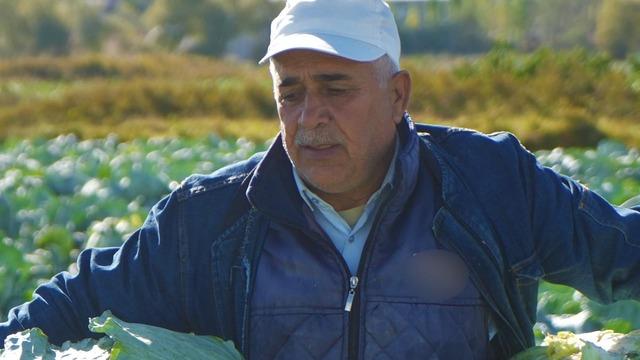 120 milyon TL gelir... İstanbul, Ankara, Bursa, İzmir'e satıyorlar! Bu yıl beklenti büyük