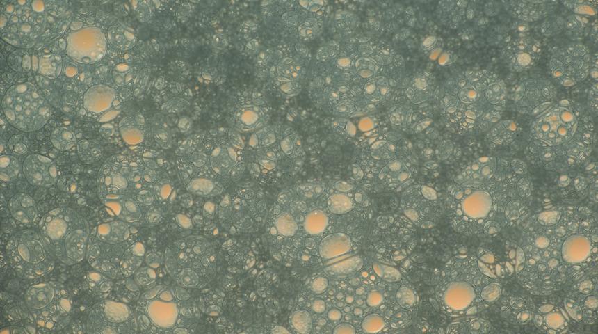 Plasmoid'ler bilinç sahibi mi? Yeni tartışma başladı! Sosyal medya bu videoyu konuşuyor! Dünya dışı varlıklar, ünlü kehanetler…