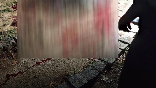 Bursa'da dehşet dolu olay! Yanında çalışan çobanı tüfekle öldürüp, 21 saat sonra kendisini ihbar etti