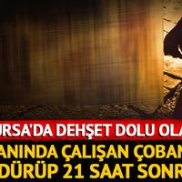 Bursa'da dehşet dolu olay! Yanında çalışan çobanı tüfekle öldürüp, 21 saat sonra kendisini ihbar etti