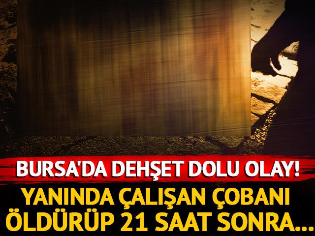 Bursa'da dehşet dolu olay! Yanında çalışan çobanı tüfekle öldürüp, 21 saat sonra kendisini ihbar etti