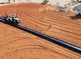 Küçük küçük bir sürü arazi, 12 ay boyunca gelir! 'Büyük avantaj sağlıyor'