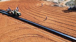 Küçük küçük bir sürü arazi, 12 ay boyunca gelir! 'Büyük avantaj sağlıyor'