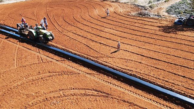 Küçük küçük bir sürü arazi, 12 ay boyunca gelir! 'Büyük avantaj sağlıyor'