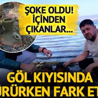 Göl kıyısında yürürken fark etti!