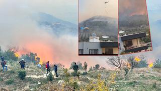 Hatay'da orman yangını! Saatlerdir sürüyor, çevre illerden yardım istendi: 'Evler yanıyor'