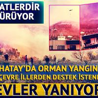 Hatay'da orman yangını! Saatlerdir sürüyor, çevre illerden yardım istendi: 'Evler yanıyor'