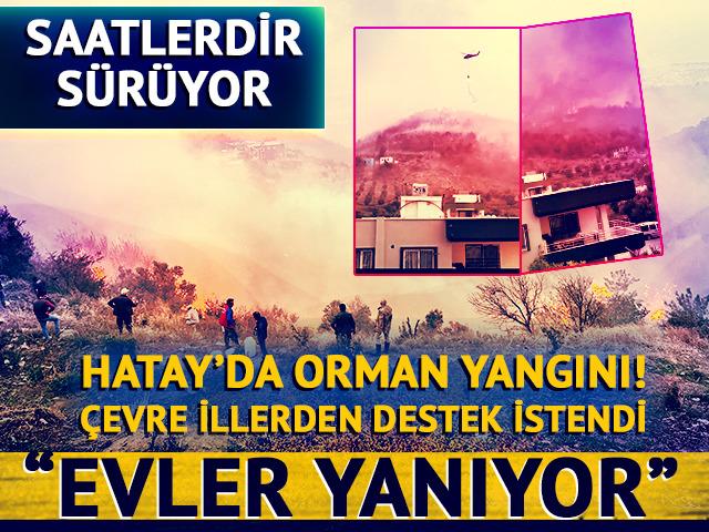 Hatay'da orman yangını! Saatlerdir sürüyor, çevre illerden yardım istendi: 'Evler yanıyor'