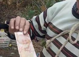 Ağaç dalından para topladı! Görünce şaşırdı... İlk tepkisi bu oldu