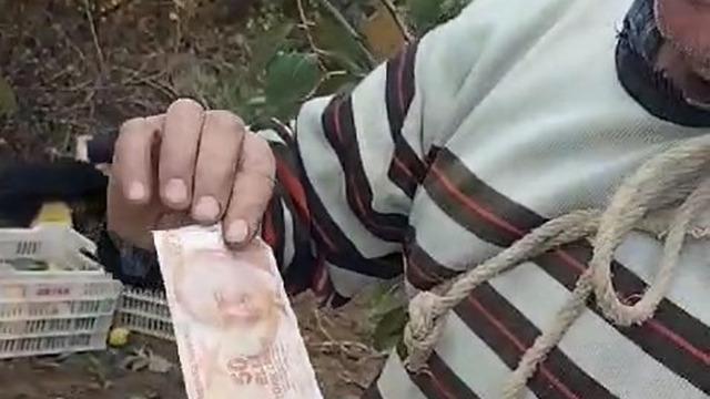 Ağaç dalından para topladı! Görünce şaşırdı... İlk tepkisi bu oldu