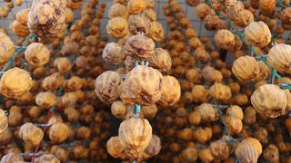 Denizli'nin gözdesi... Cennet hurmasının verimi yüzde 40 arttı! Türkiye'nin 1 numarası! 'Ülkenin dört bir yanında satılıyor'