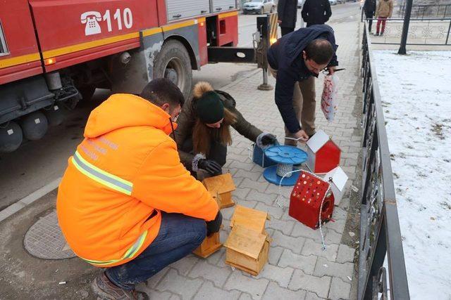 Ağrı’da ’kuş evleri’ yapıldı