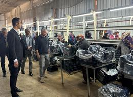 'Daha fazla kazanma imkanı olacak' Paketlenip depolanıyor! Avrupa'ya satılacak