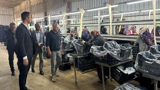 'Daha fazla kazanma imkanı olacak' Paketlenip depolanıyor! Avrupa'ya satılacak