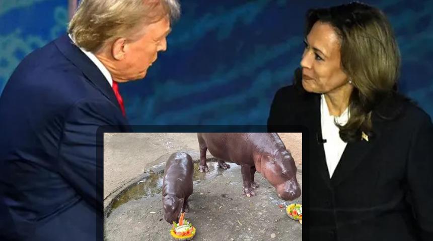 2024 Amerika Birleşik Devletleri'nin başkanlık seçiminde kıyasıya rekabet devam ediyor! Fenomen su aygırı kimin kazanacağını böyle açıkladı