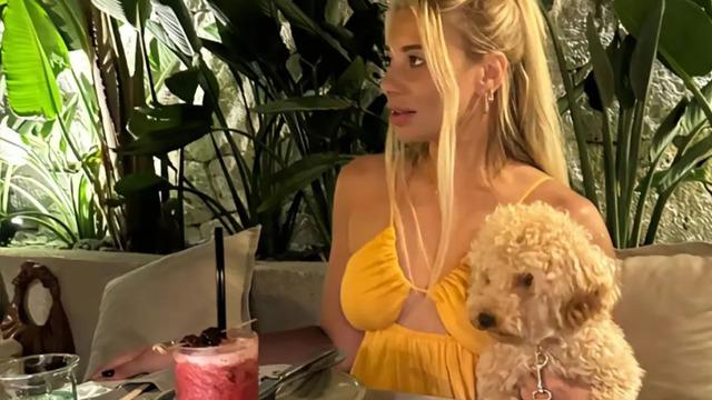 'İtinize de biz mi sahip çıkalım' Pet kuaförden akılalmaz savunma! 'Ticaret yapmak için kaçırdılar'