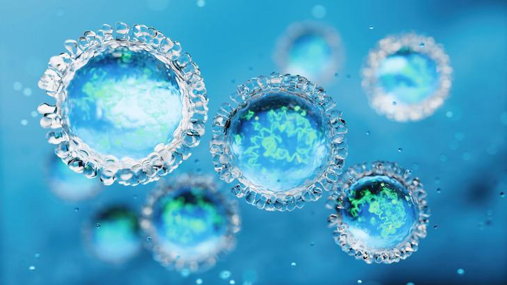 Uzmanlar uyardı: 'Vakalar artıyor, tedbir alın' Covid'den daha hızlı bulaşıyor "Yüz ve kafadan başlar, gövdeye doğru yayılır" G1